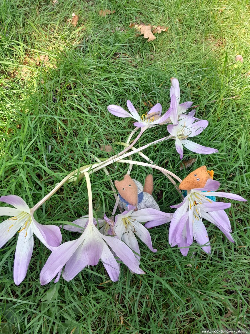 Прогулка по Сандрингему (продолжение)