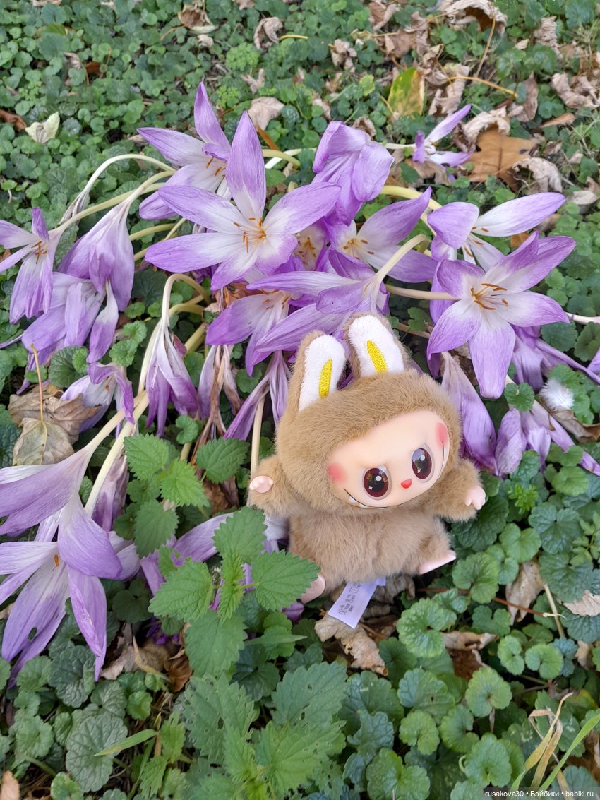 Прогулка по Сандрингему (продолжение)