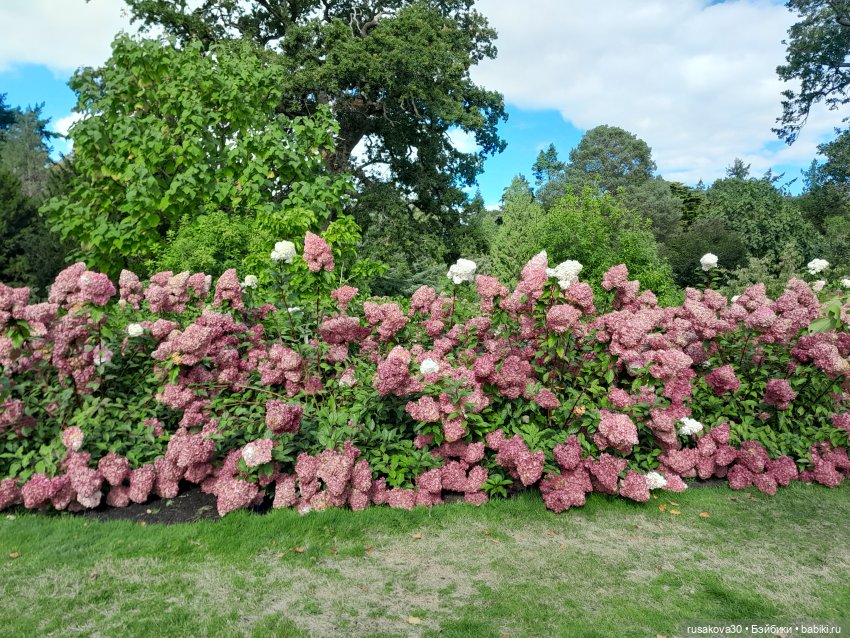 Прогулка по Сандрингему (продолжение)