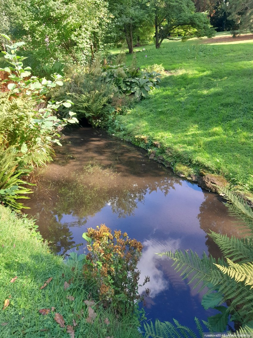 Прогулка по Сандрингему (продолжение)