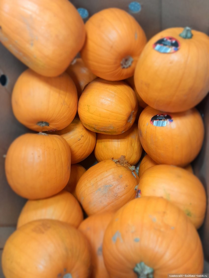 Тыковка и тыква — Игрушки Labubu (Лабубу) и The Monsters: Pop Mart