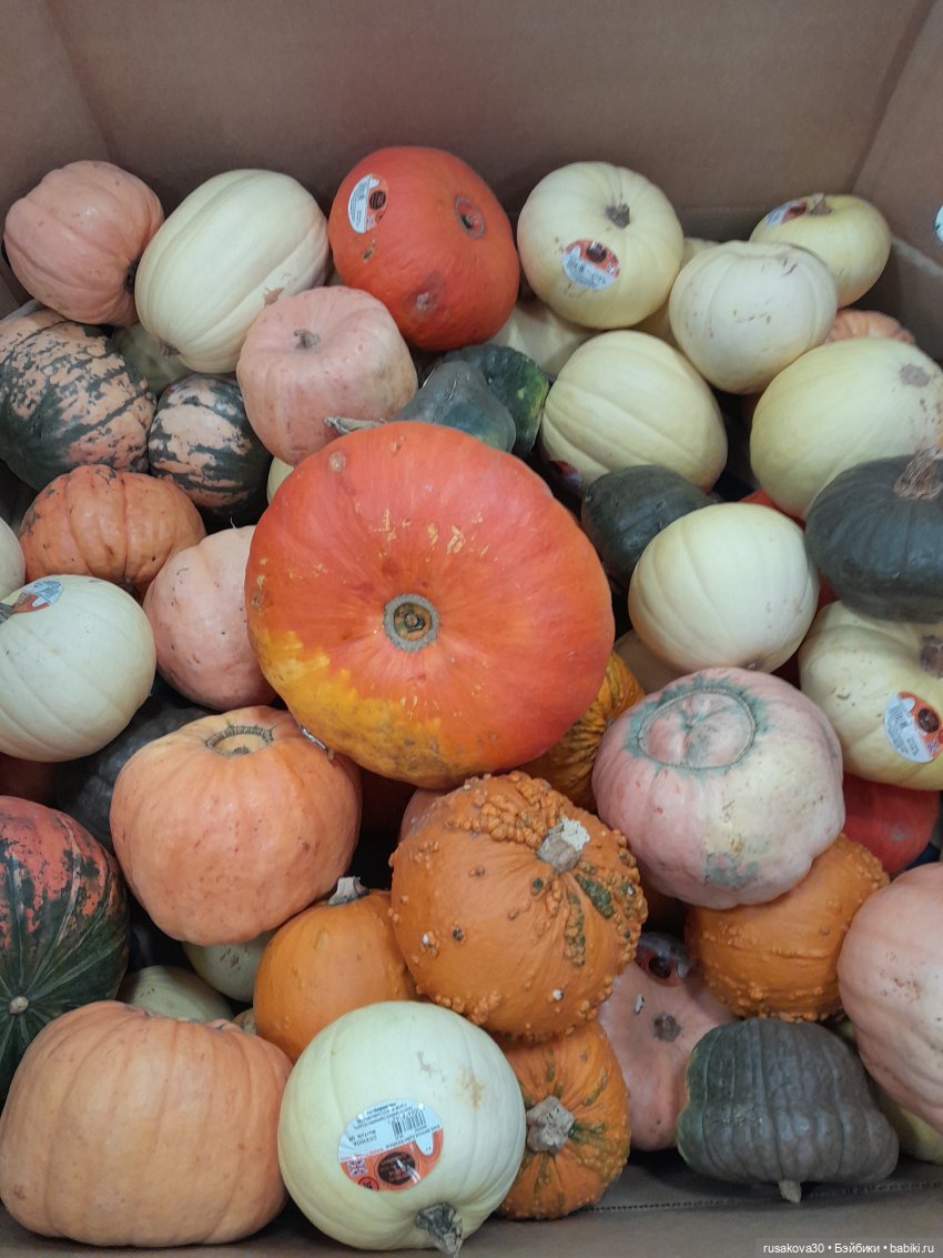 Тыковка и тыква — Игрушки Labubu (Лабубу) и The Monsters: Pop Mart (фото 2)