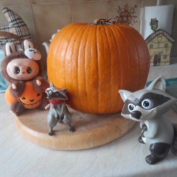 Тыковка и тыква.