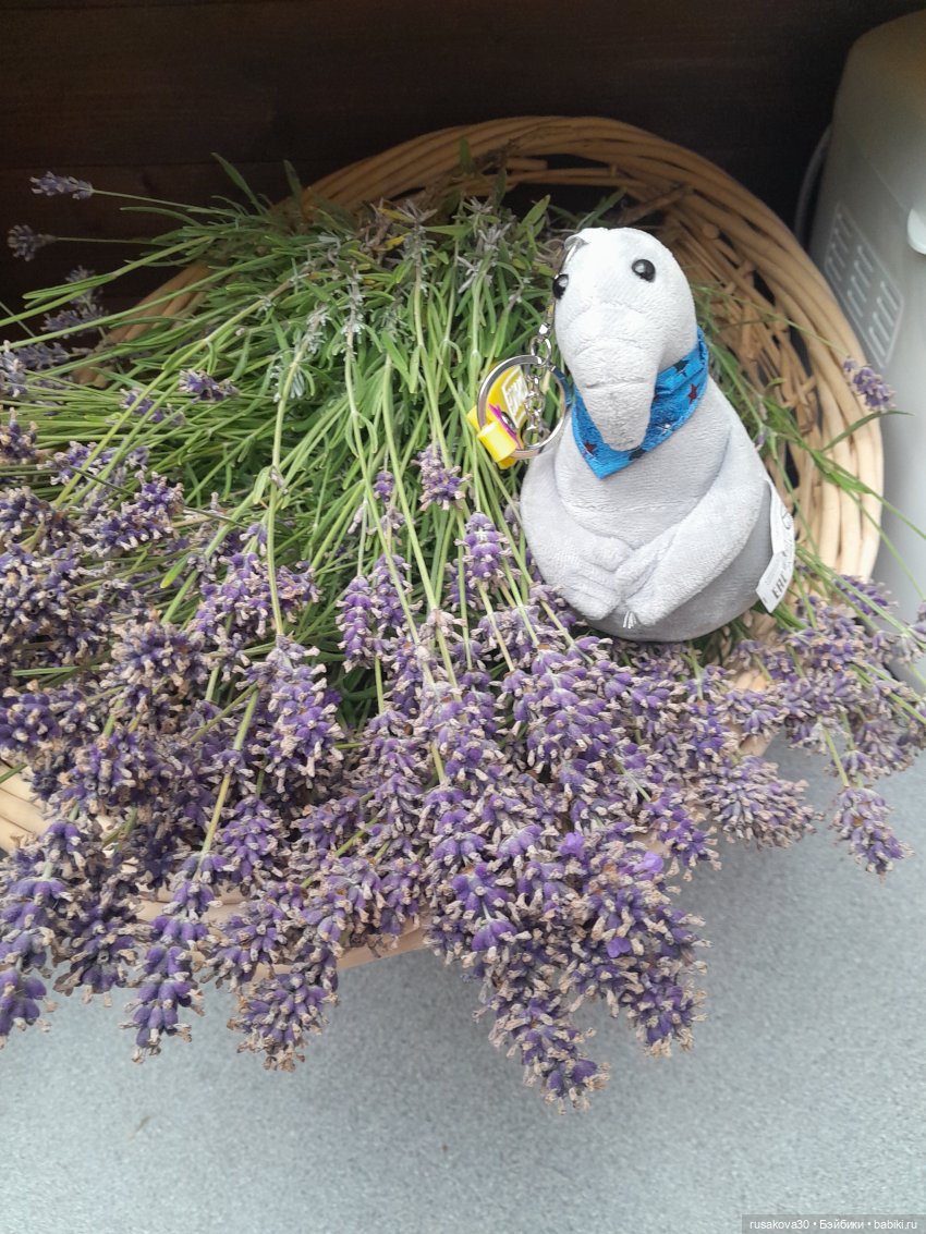 Интересные игрушки и фигурки (разное): редкие