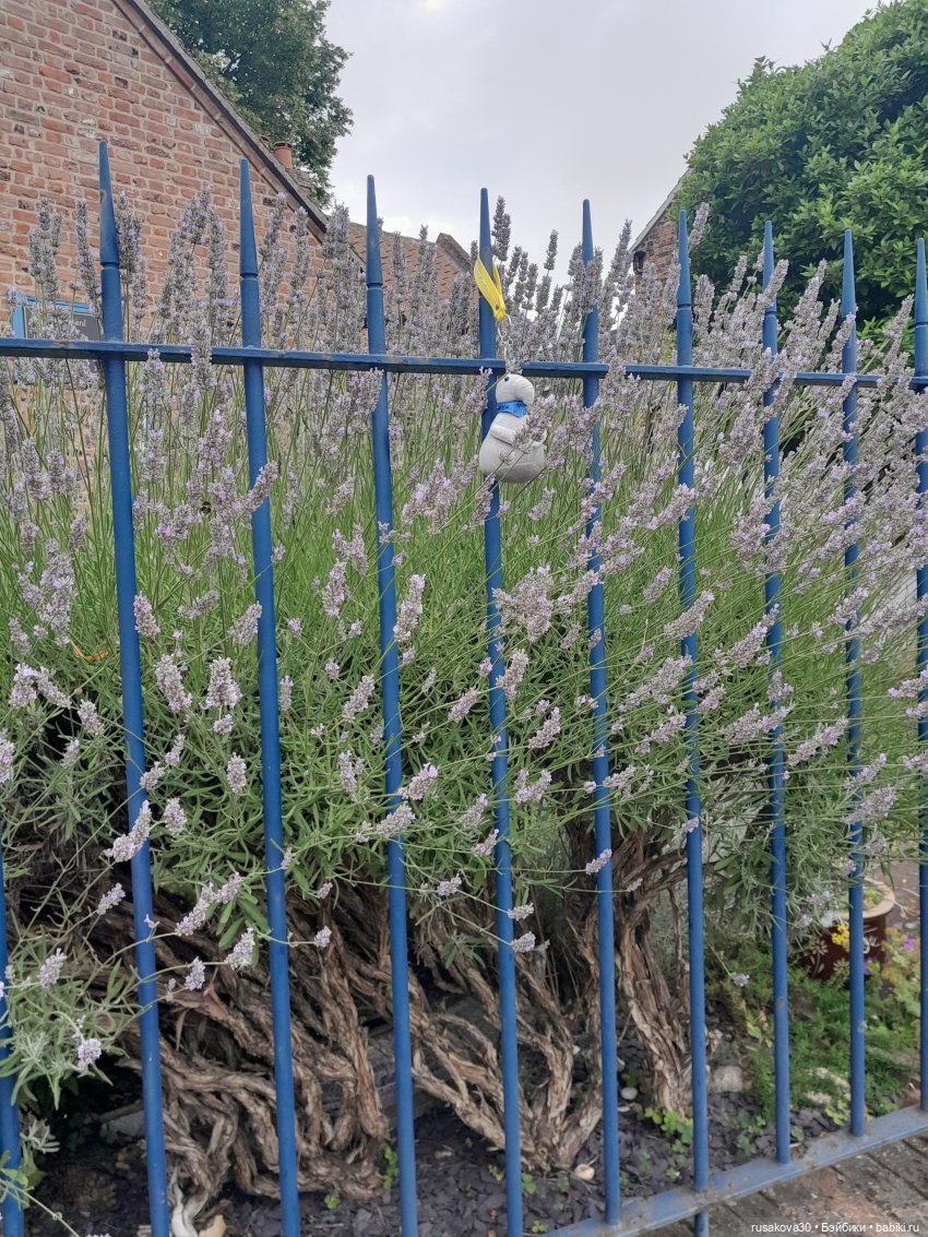 Интересные игрушки и фигурки (разное): редкие