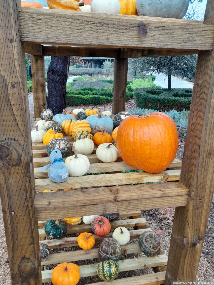 Ждун, продолжение — Интересные игрушки и фигурки (разное): редкие (фото 2)