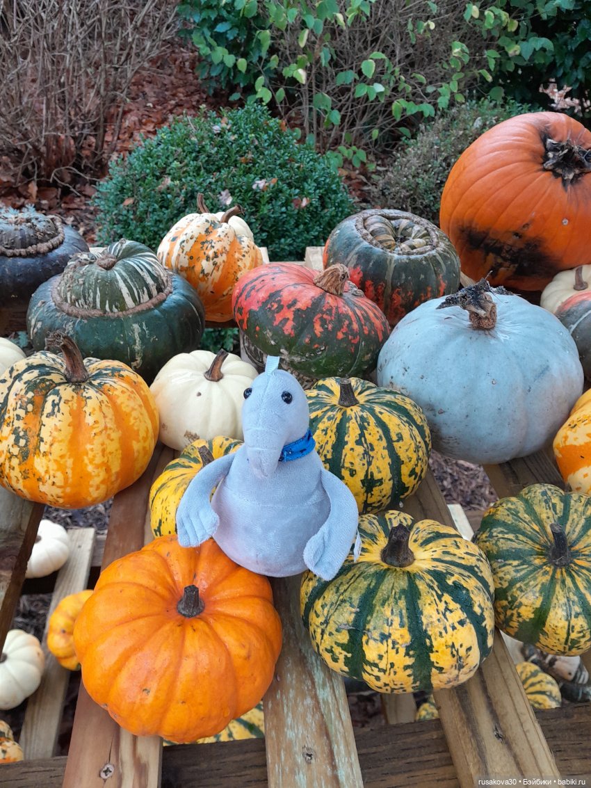 Ждун, продолжение — Интересные игрушки и фигурки (разное): редкие (фото 3)