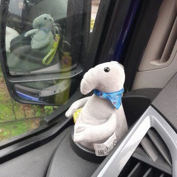 Ждун, продолжение