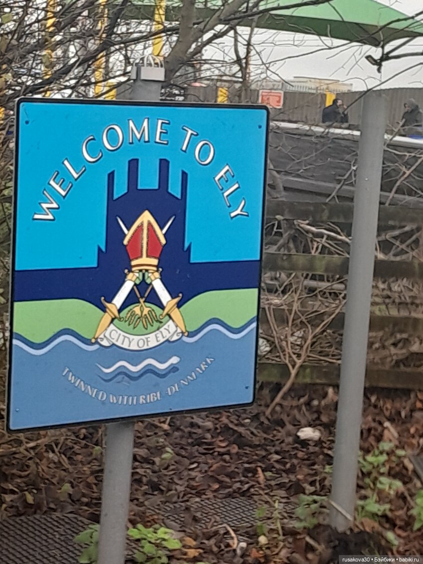 Рождественская елка и гномики (фото 5)