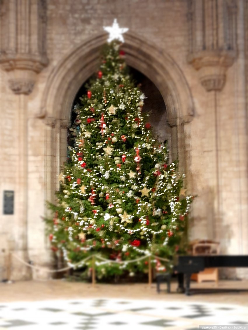 Рождественская елка и гномики