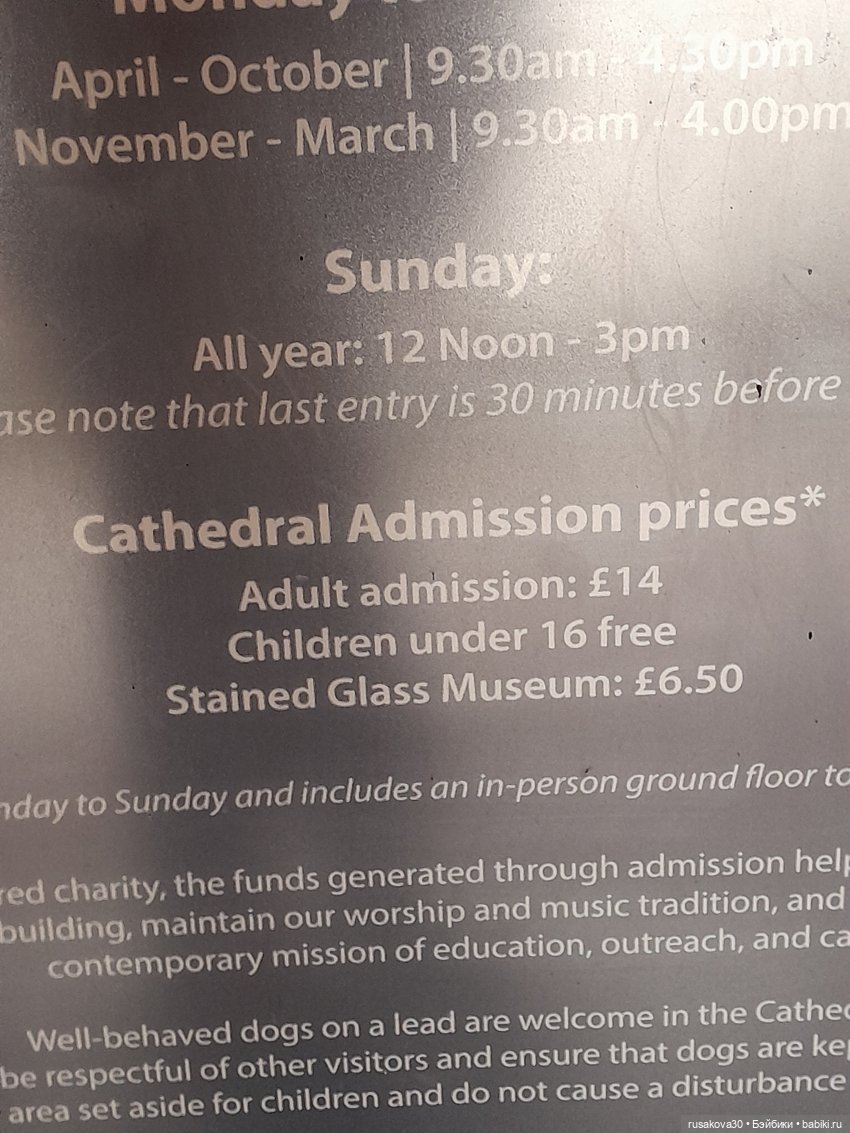 Рождественская елка и гномики (фото 10)