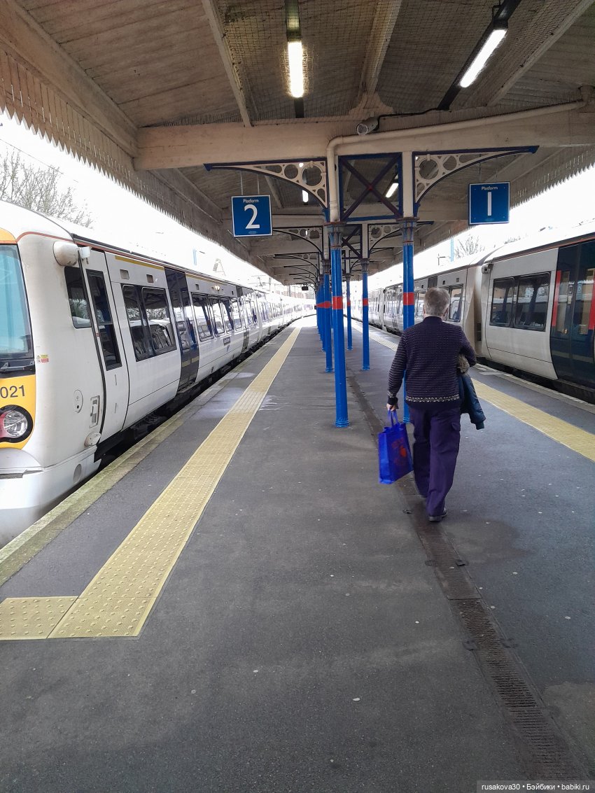 Рождественская елка и гномики (фото 2)