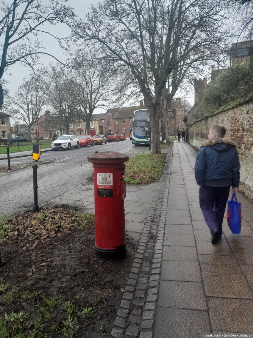 Рождественская елка и гномики (фото 6)