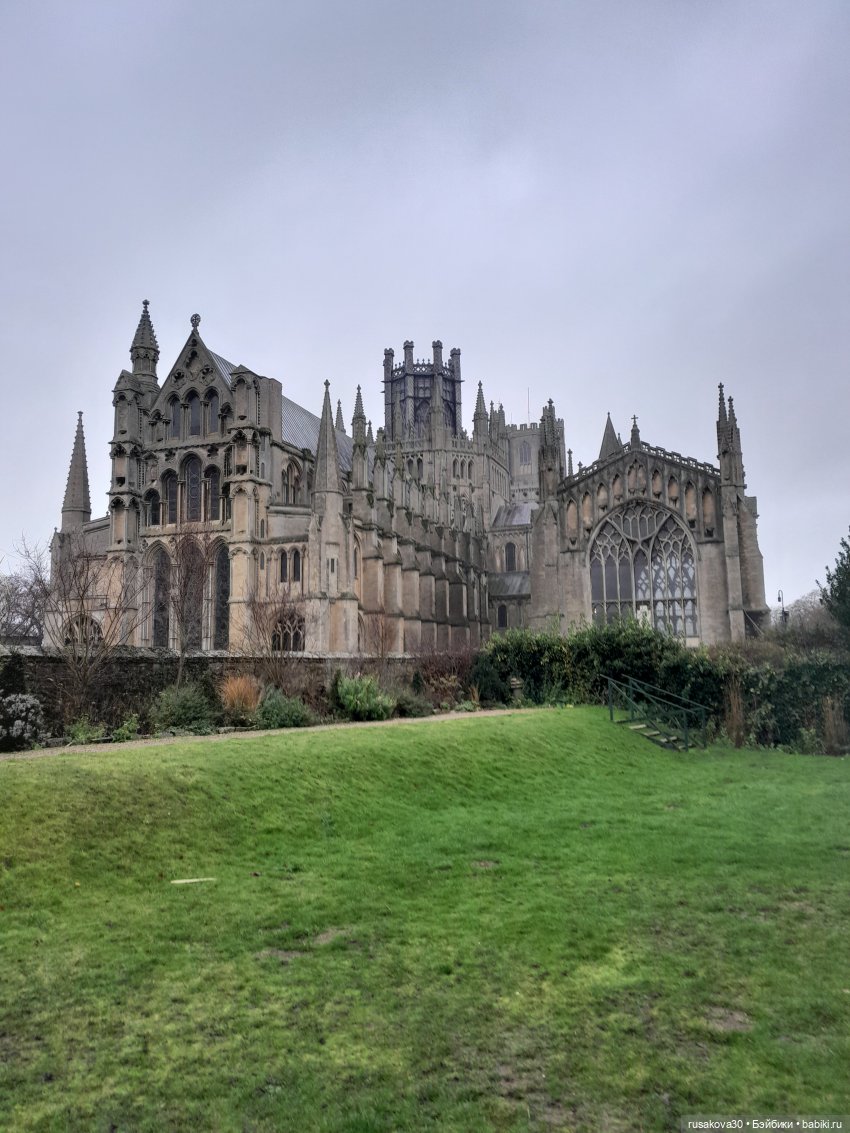 Рождественская елка и гномики