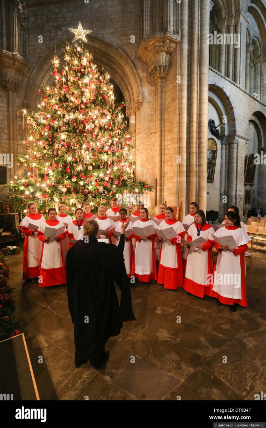 Рождественская елка и гномики (фото 7)