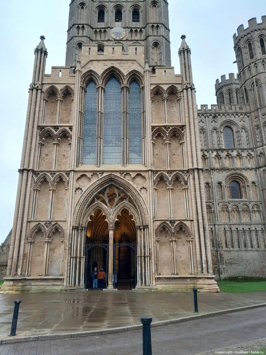 Рождественская елка и гномики