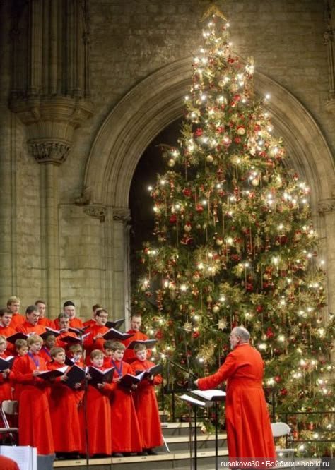 Рождественская елка и гномики (фото 8)