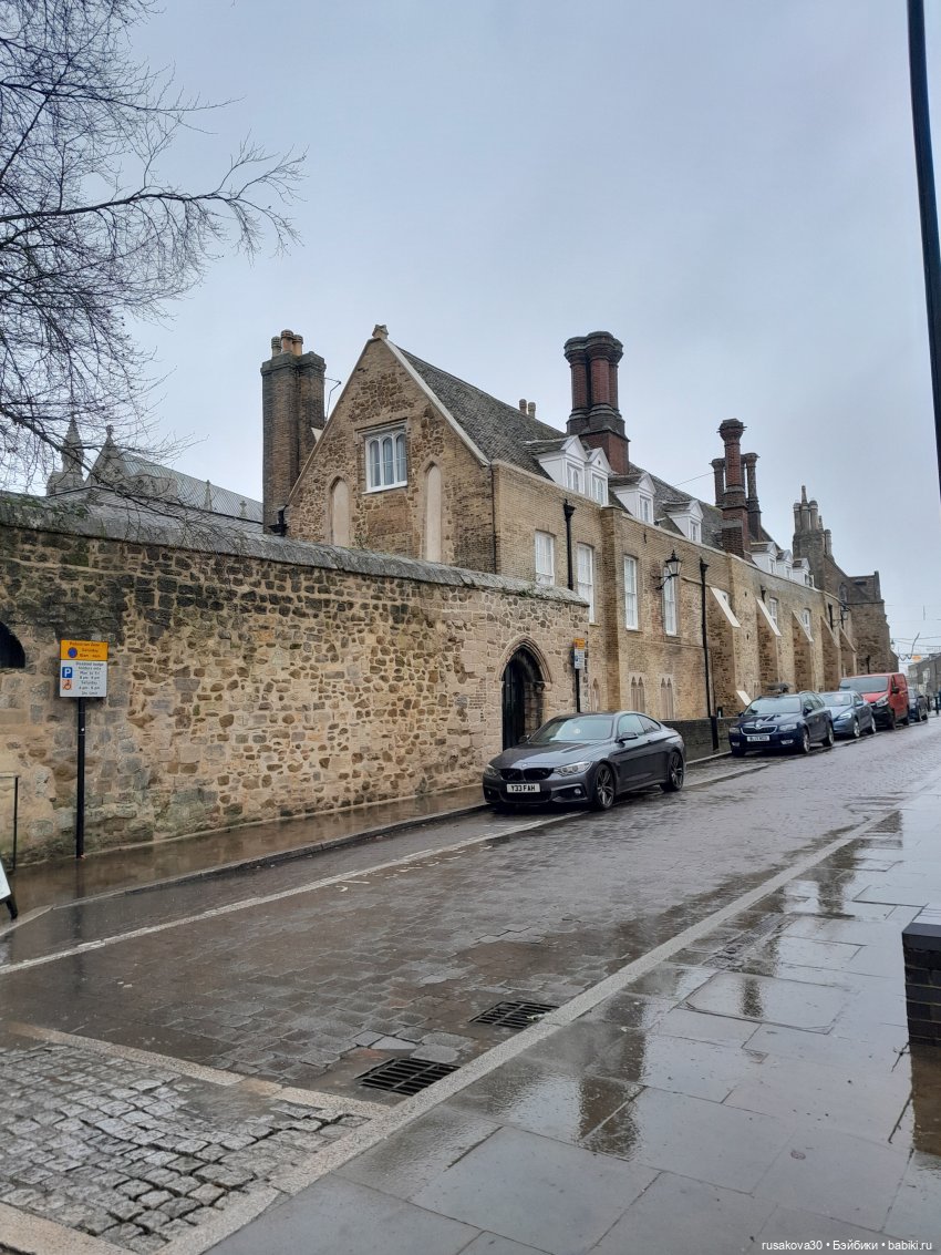 Рождественская елка и гномики