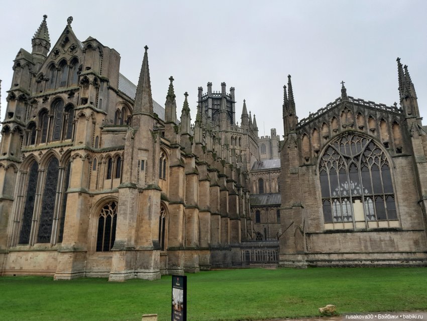 Рождественская елка и гномики (фото 3)