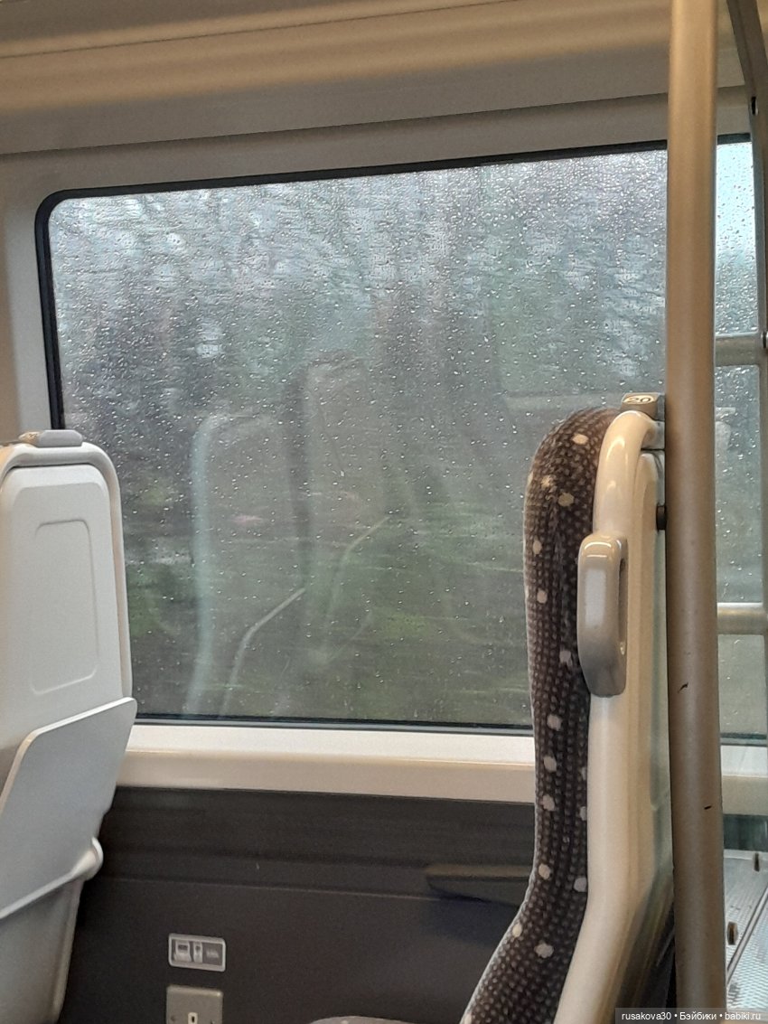 Рождественская елка и гномики