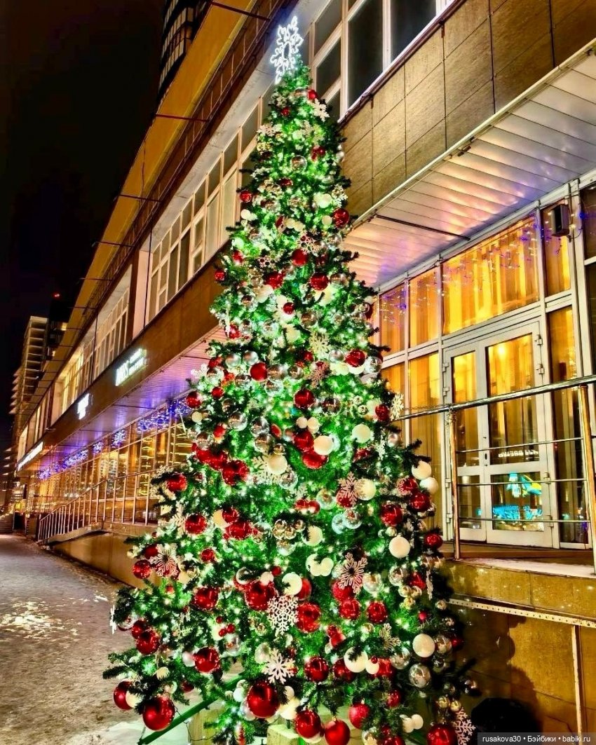 Новогодняя перекличка городов,сел,деревень (фото 4)