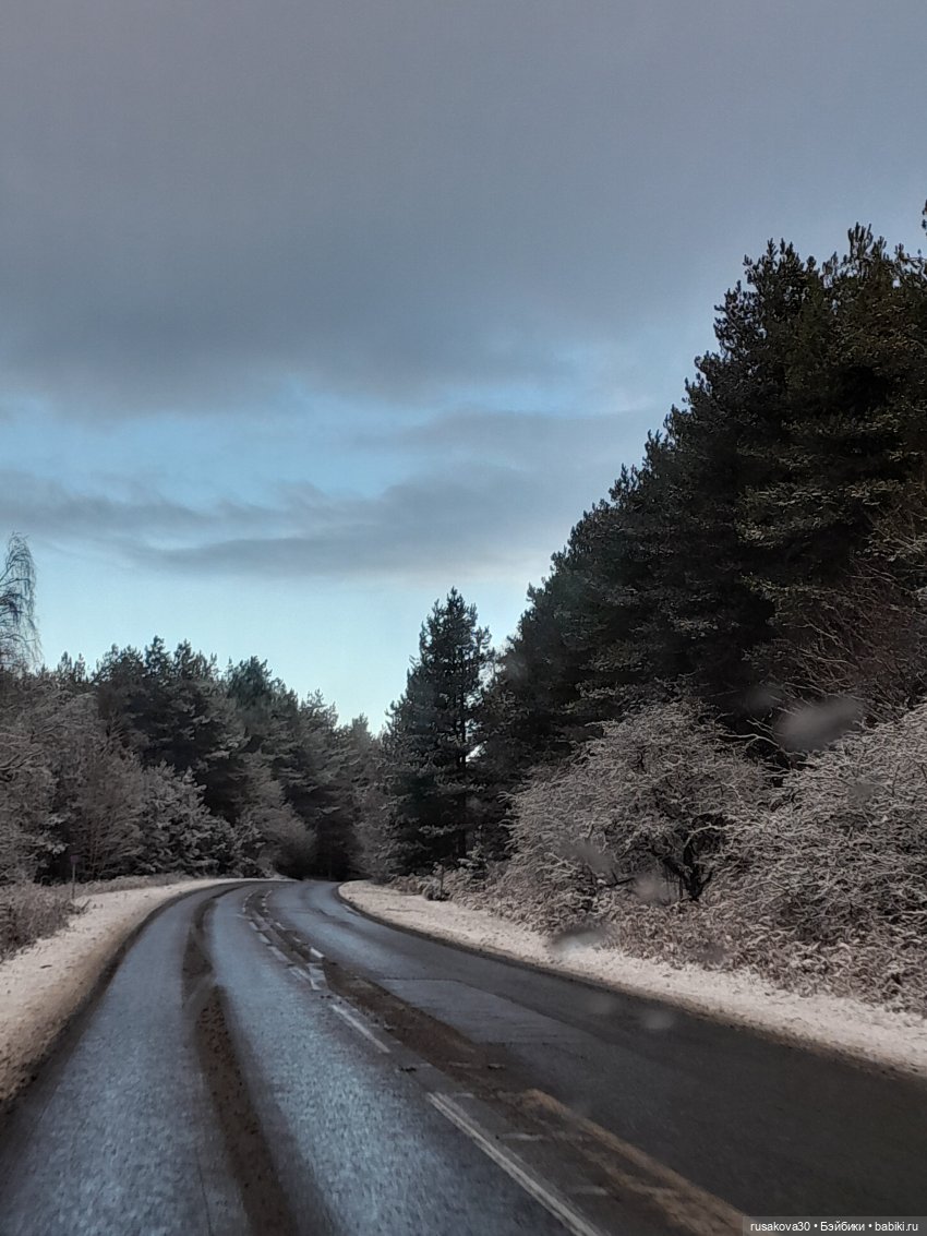 Второй снежный зимний день (фото 5)