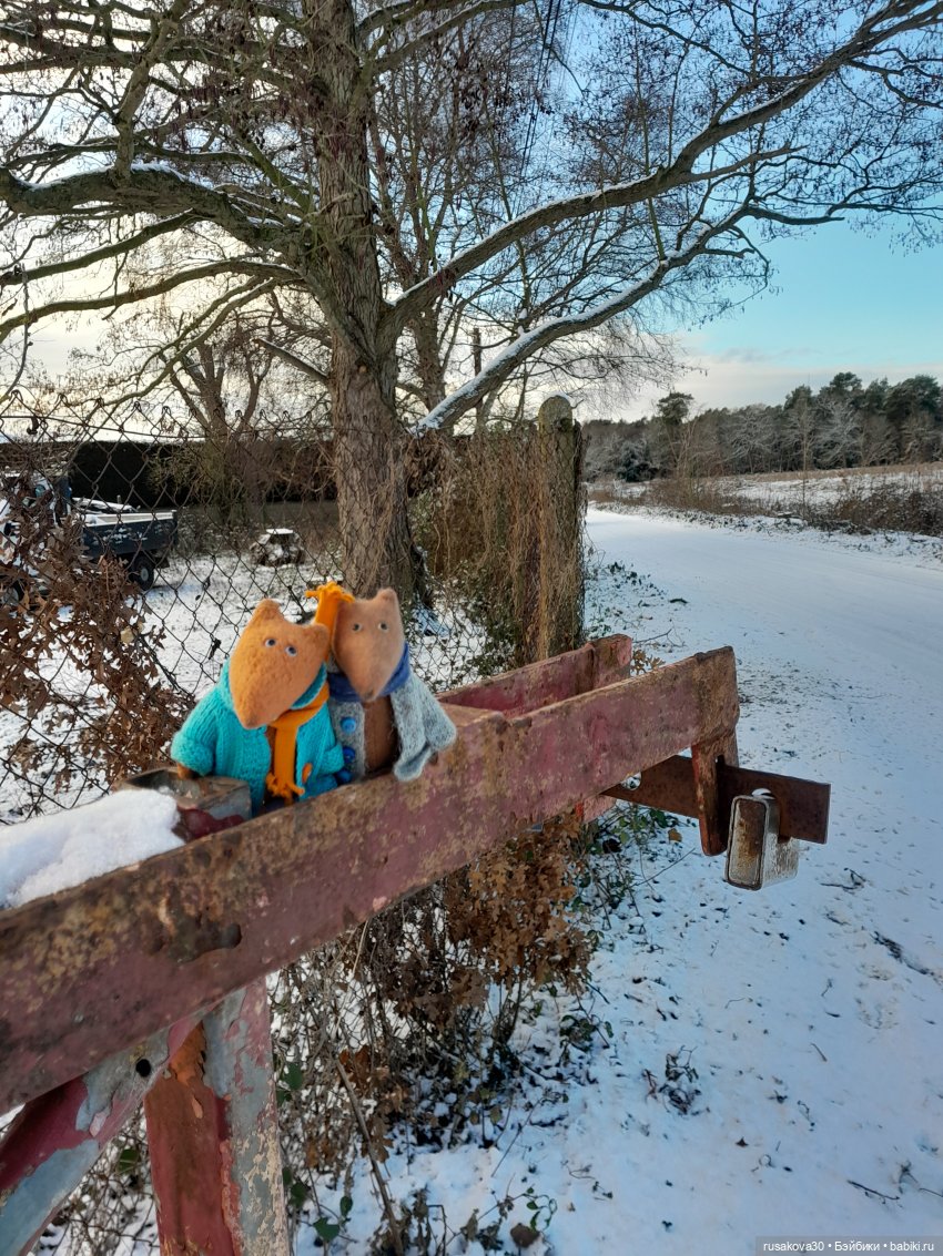 Второй снежный зимний день (фото 9)