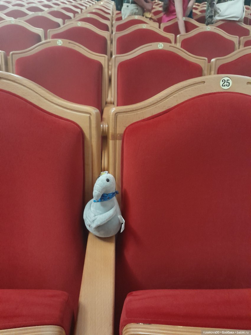 Новосибирский Оперный и другие театры (фото 4)