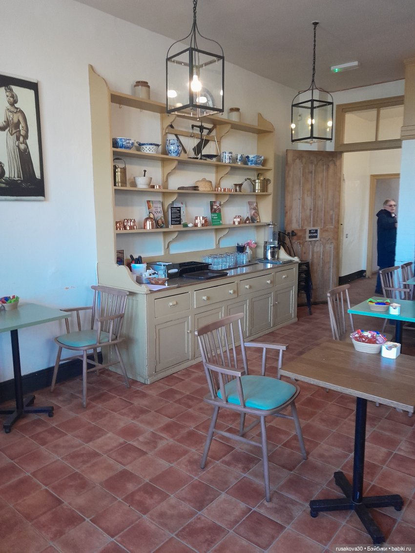 А у нас уже подснежники цветут