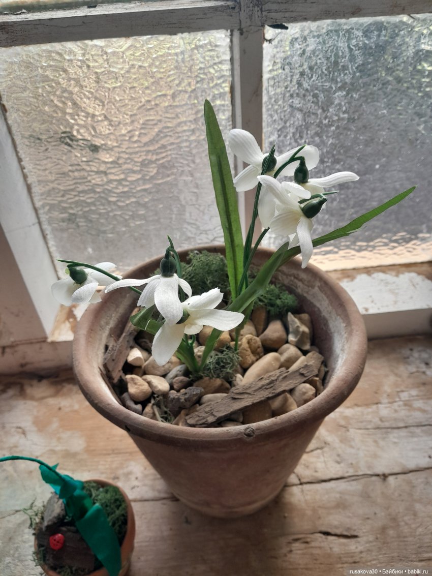 А у нас уже подснежники цветут