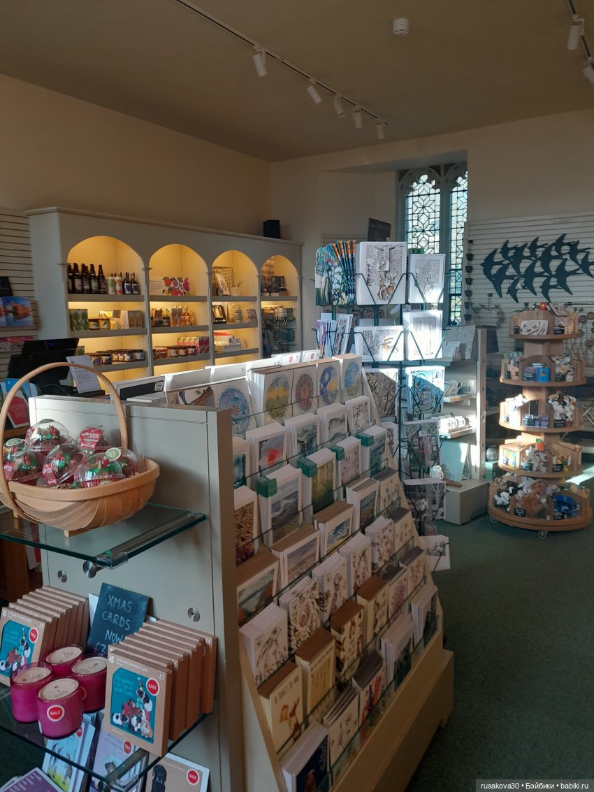 А у нас уже подснежники цветут