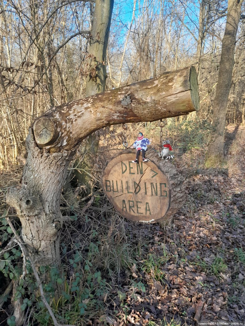 А у нас уже подснежники цветут