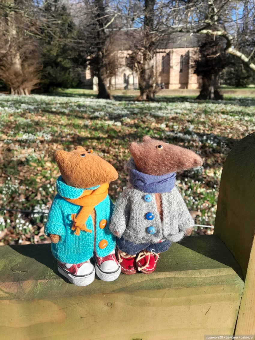 А у нас уже подснежники цветут