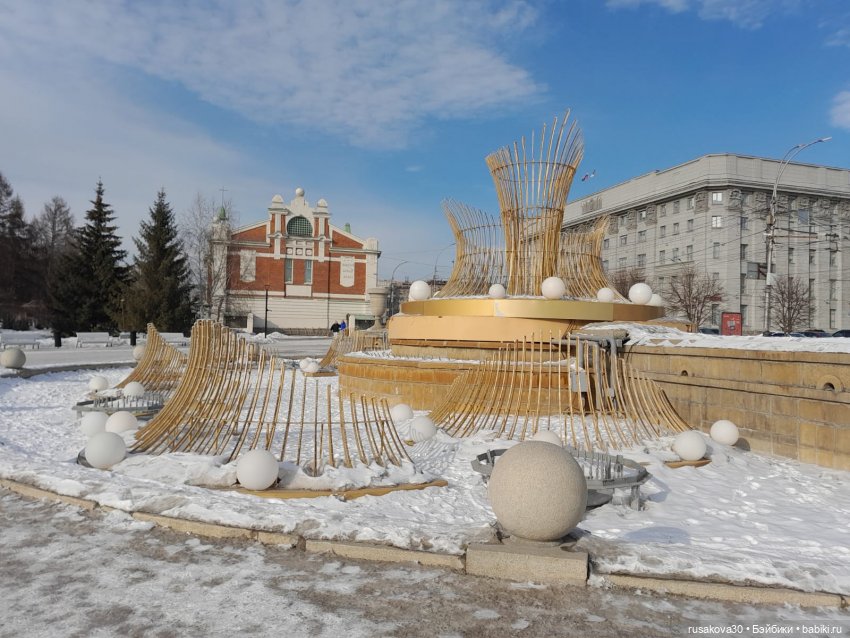 Вот кофейные коты - небывалой красоты