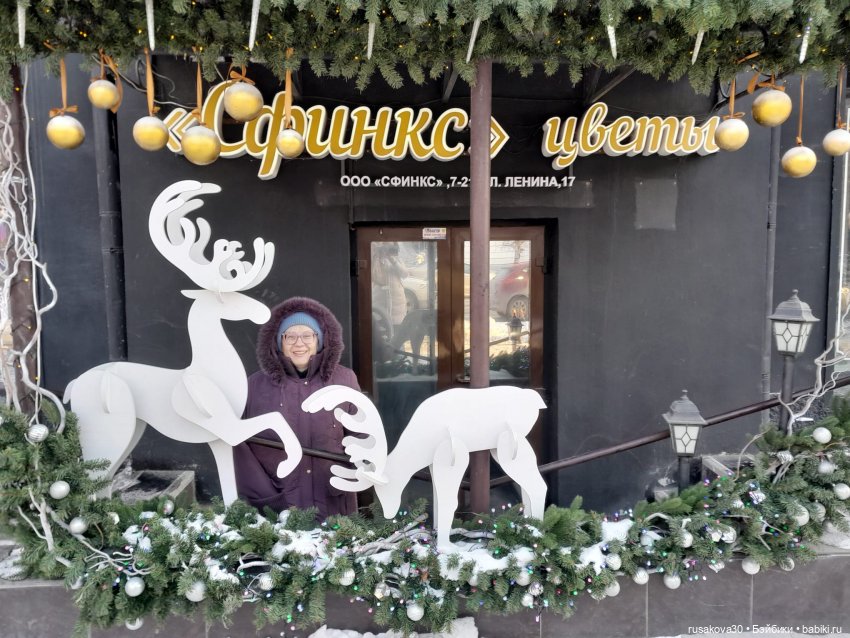 Вот кофейные коты - небывалой красоты