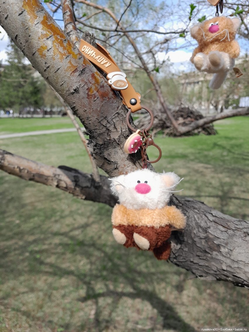 Вот кофейные коты - небывалой красоты