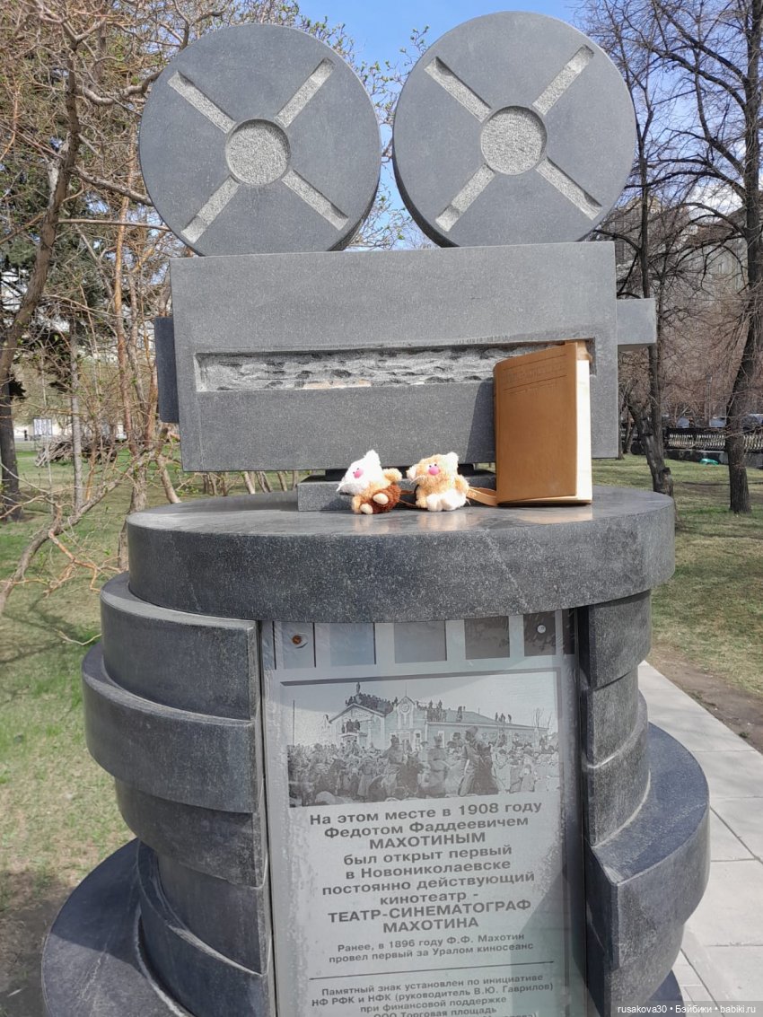 Вот кофейные коты - небывалой красоты