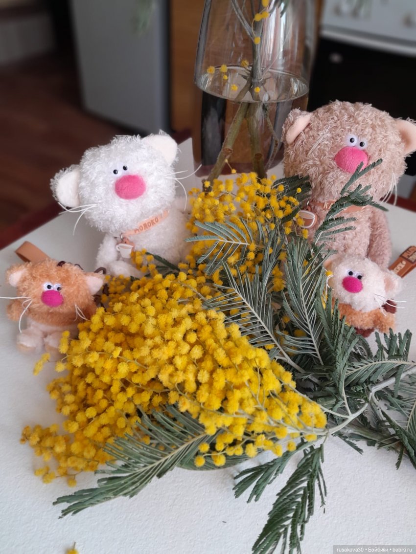 Вот кофейные коты - небывалой красоты (фото 4)