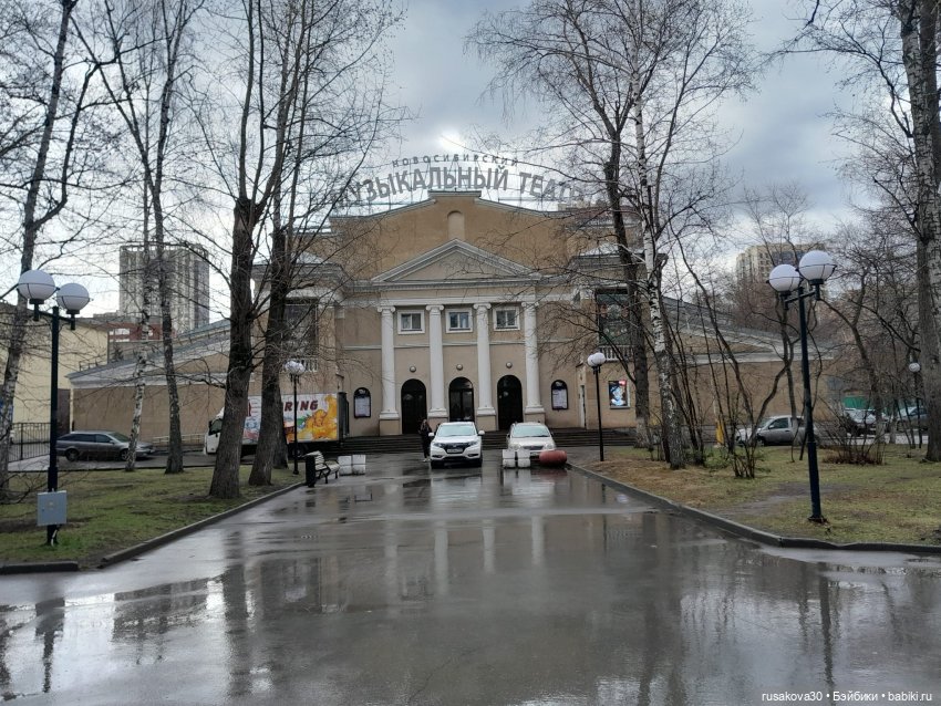 Вот кофейные коты - небывалой красоты