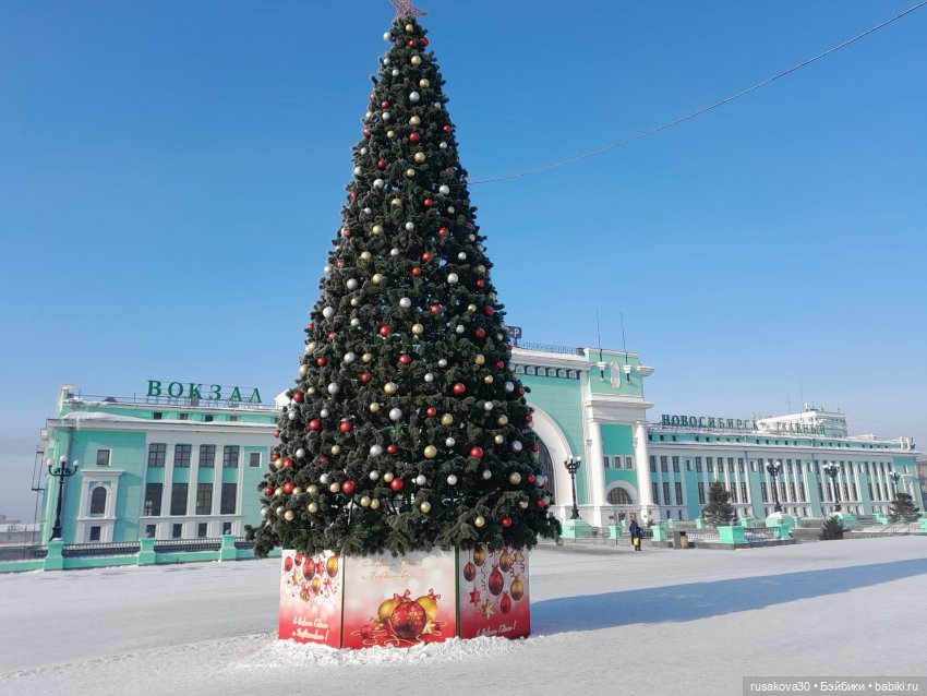 Вот кофейные коты - небывалой красоты (фото 5)