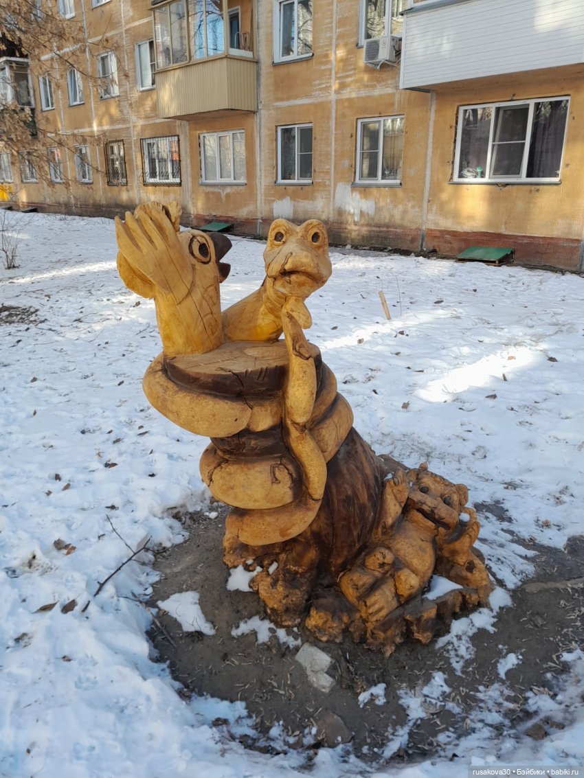 Вот кофейные коты - небывалой красоты