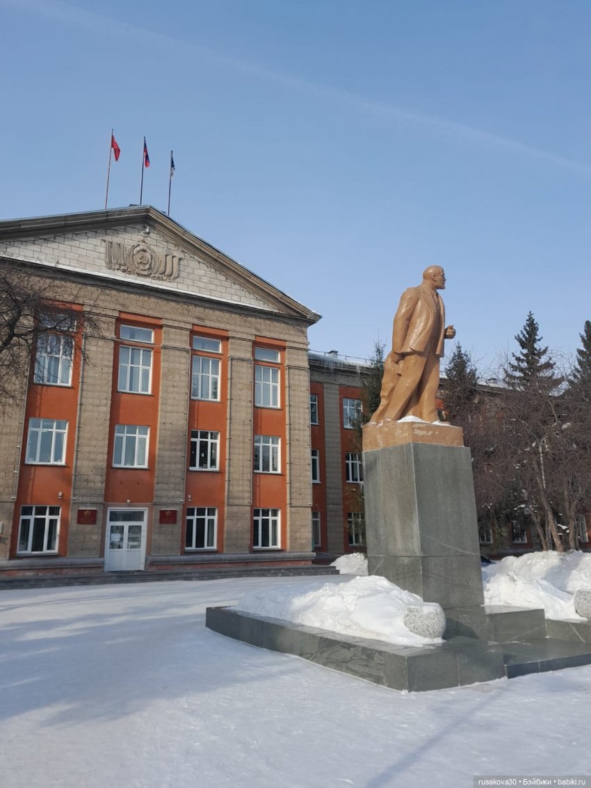 Вот кофейные коты - небывалой красоты (фото 6)