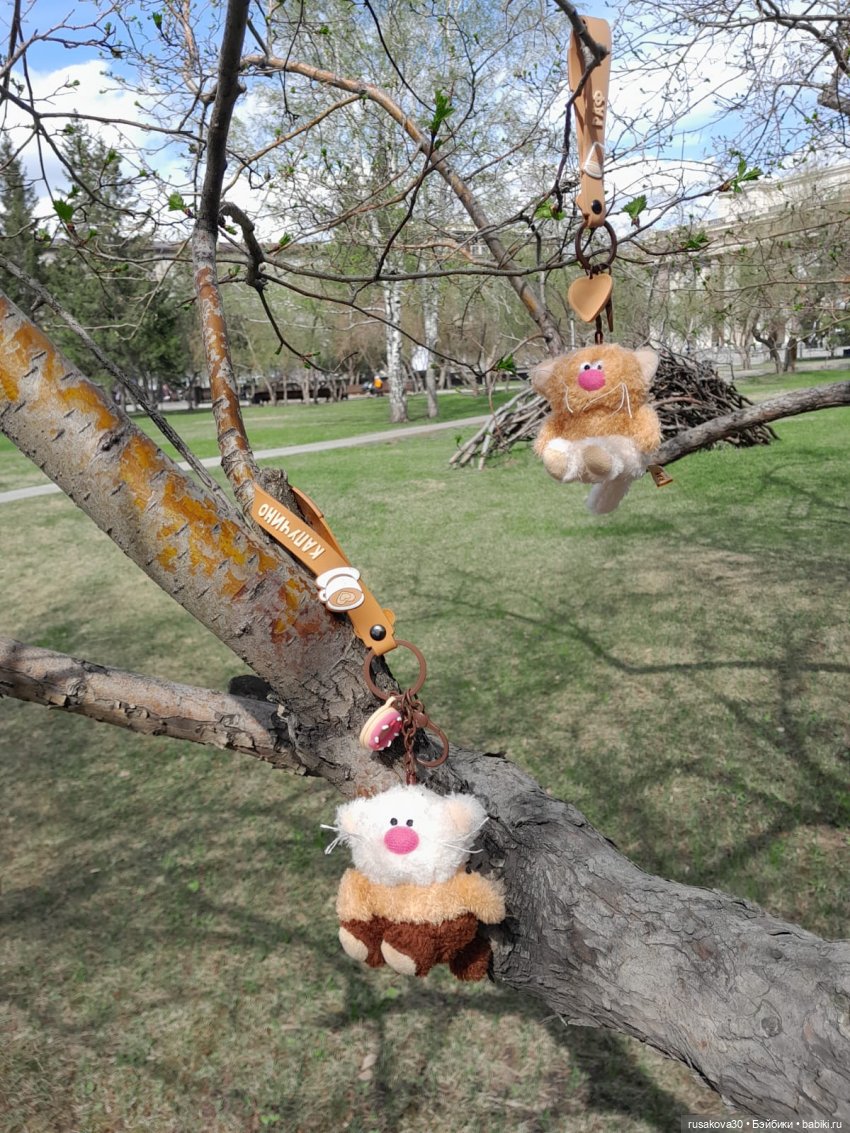 Вот кофейные коты - небывалой красоты