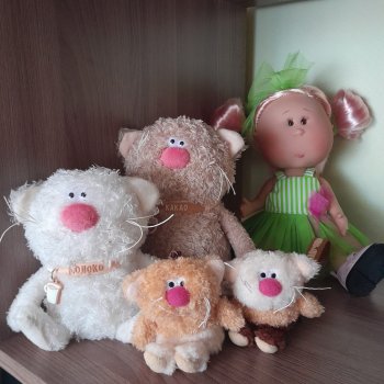 Вот кофейные коты - небывалой красоты !