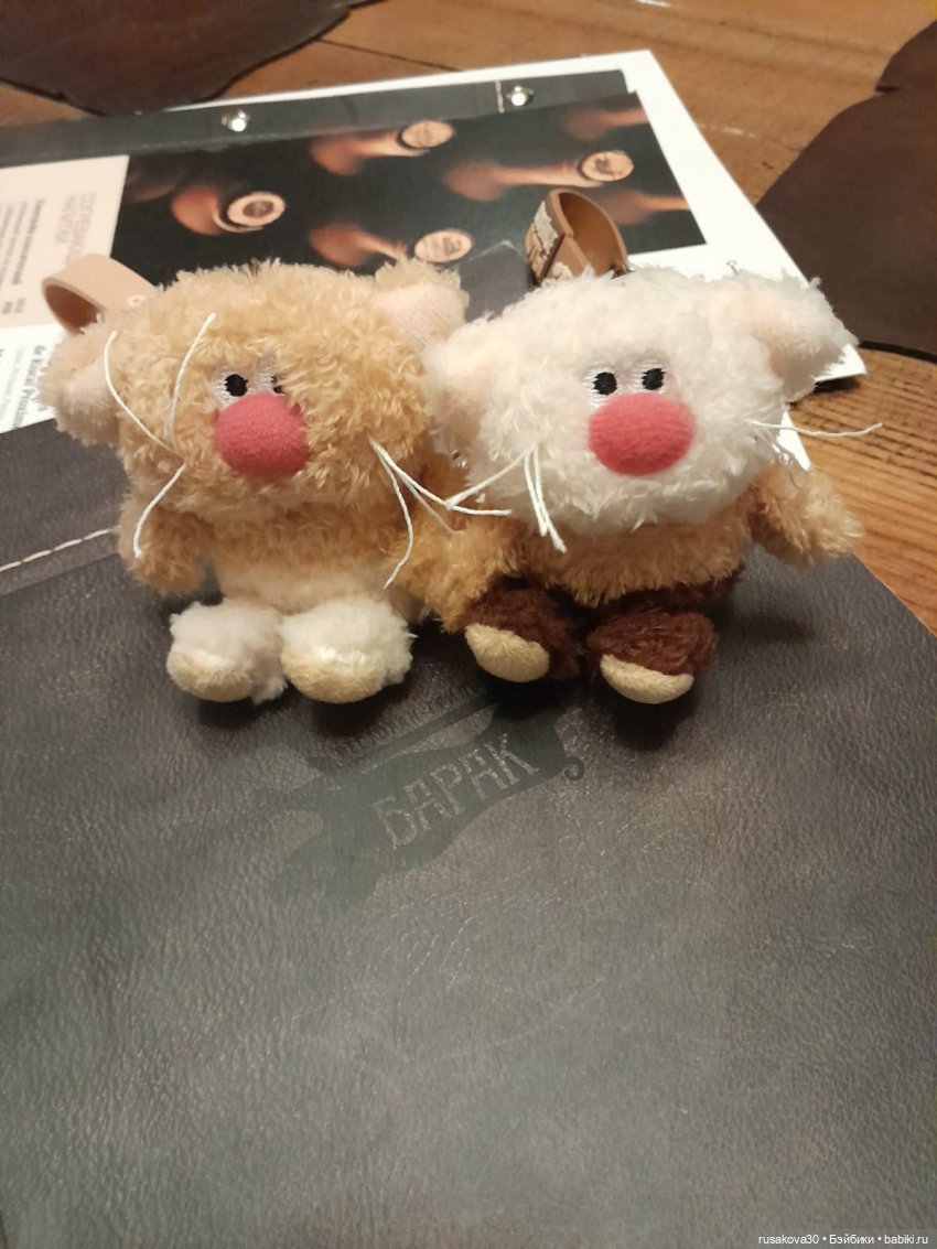 Вот кофейные коты - небывалой красоты