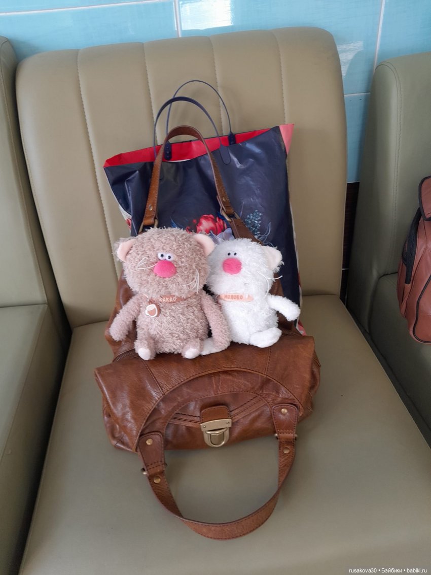 Вот кофейные коты - небывалой красоты