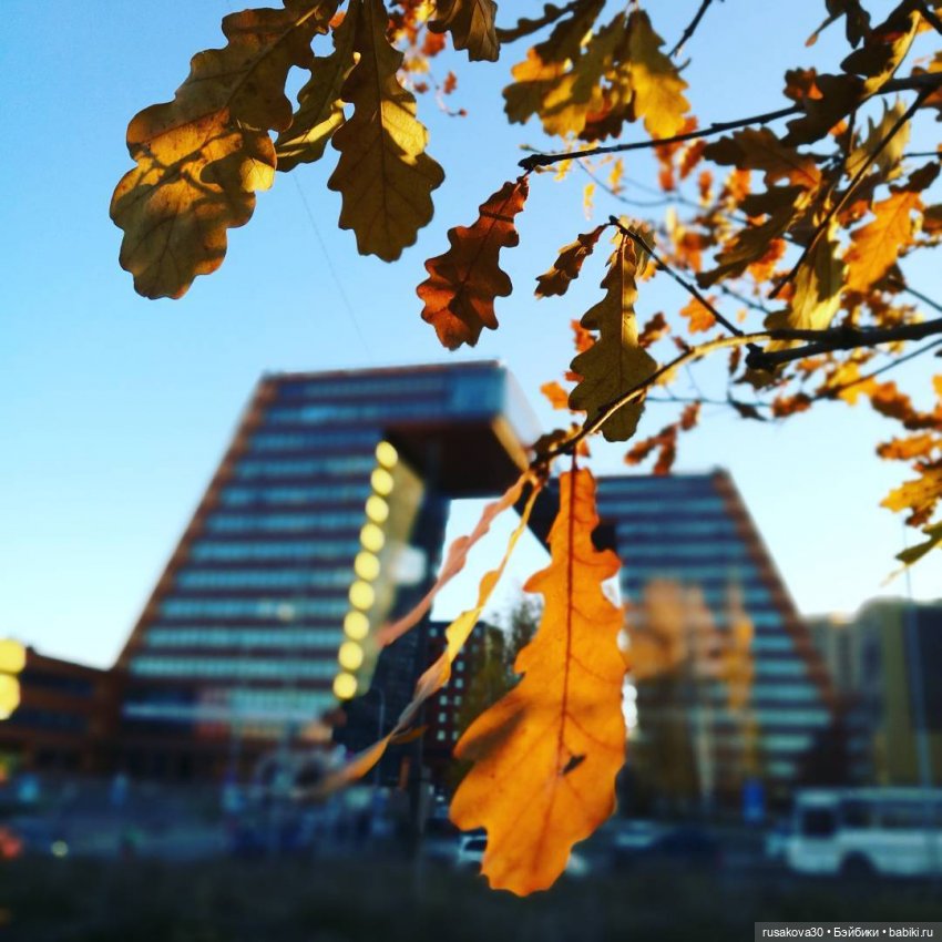 Руби и Енотик гуляют — Экшн (фото 8)