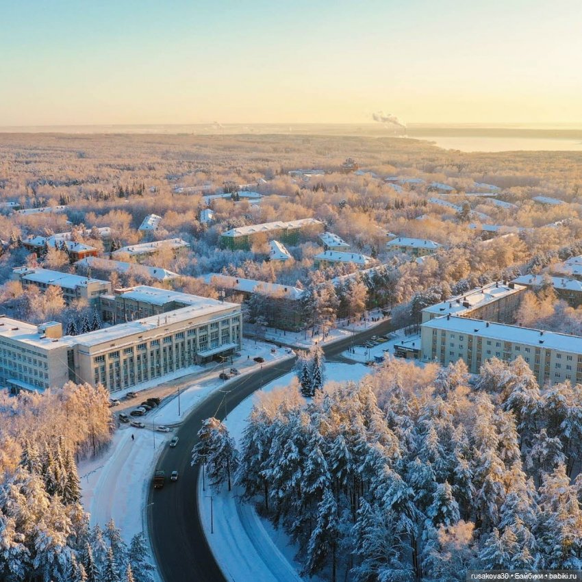 Руби и Енотик гуляют — Экшн