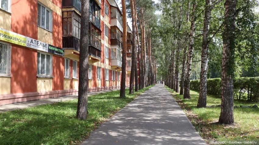 Руби и Енотик гуляют — Экшн (фото 5)