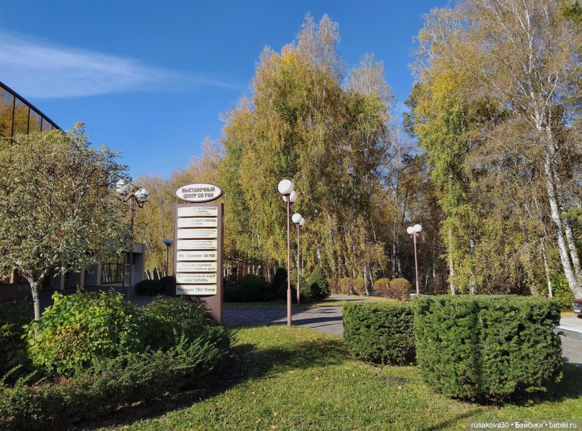 Руби и Енотик гуляют — Экшн (фото 6)